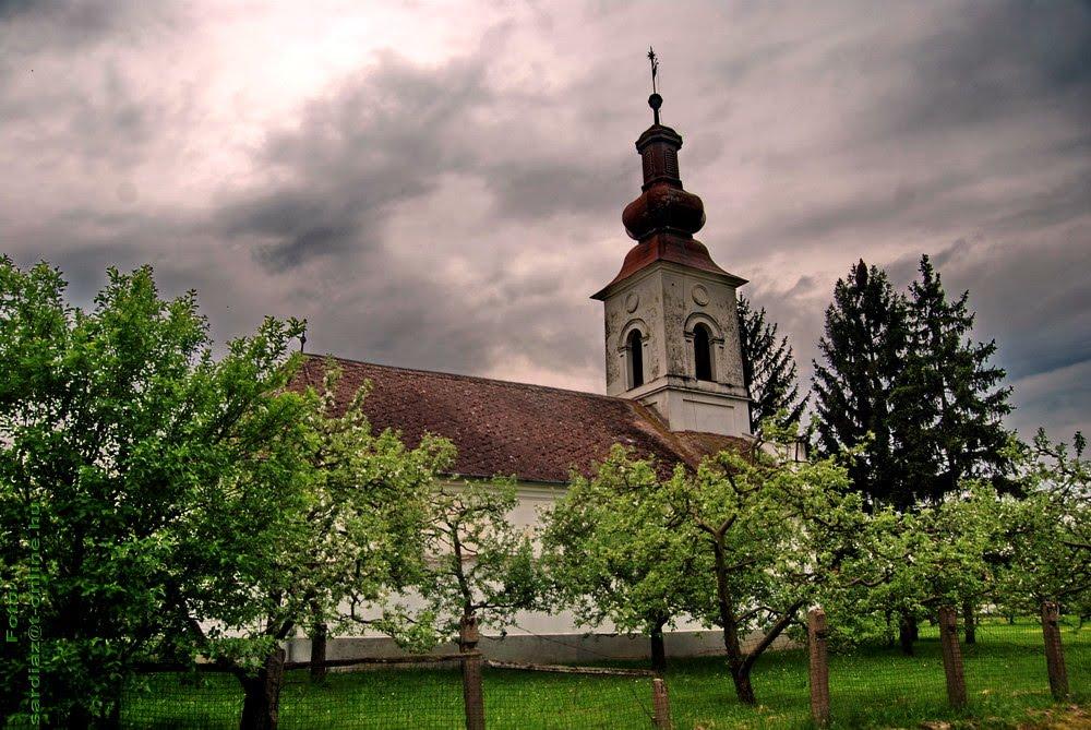 Велика Паладь з panoramio.com - Великая Паладь