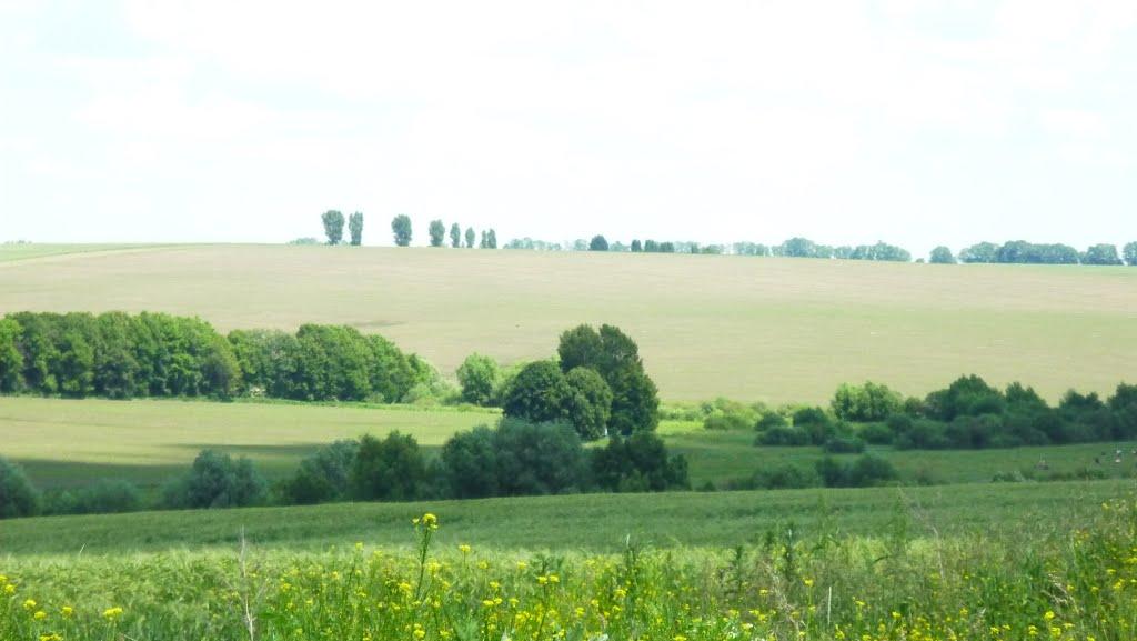 Давидківці з panoramio.com - Давыдковцы