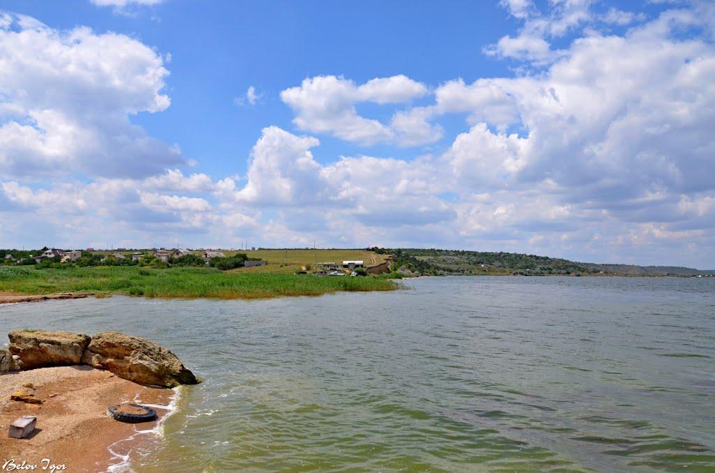 Алтестове з panoramio.com - Алтестово