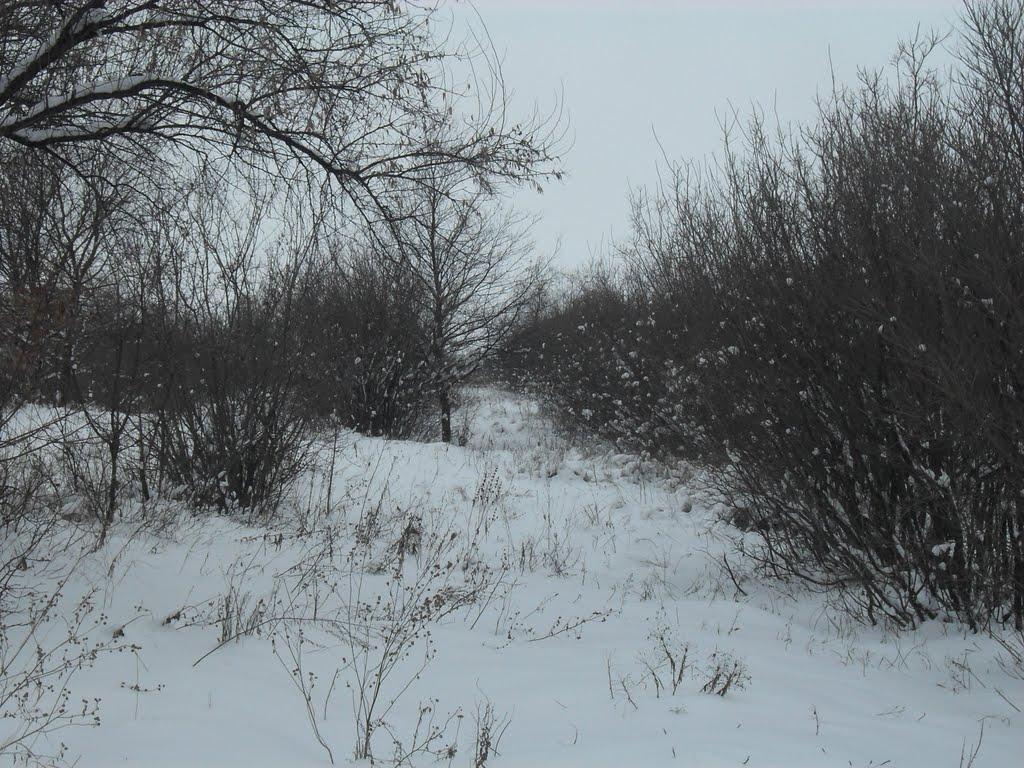 Костянтинівка з panoramio.com (ч.2) - Костянтиновка