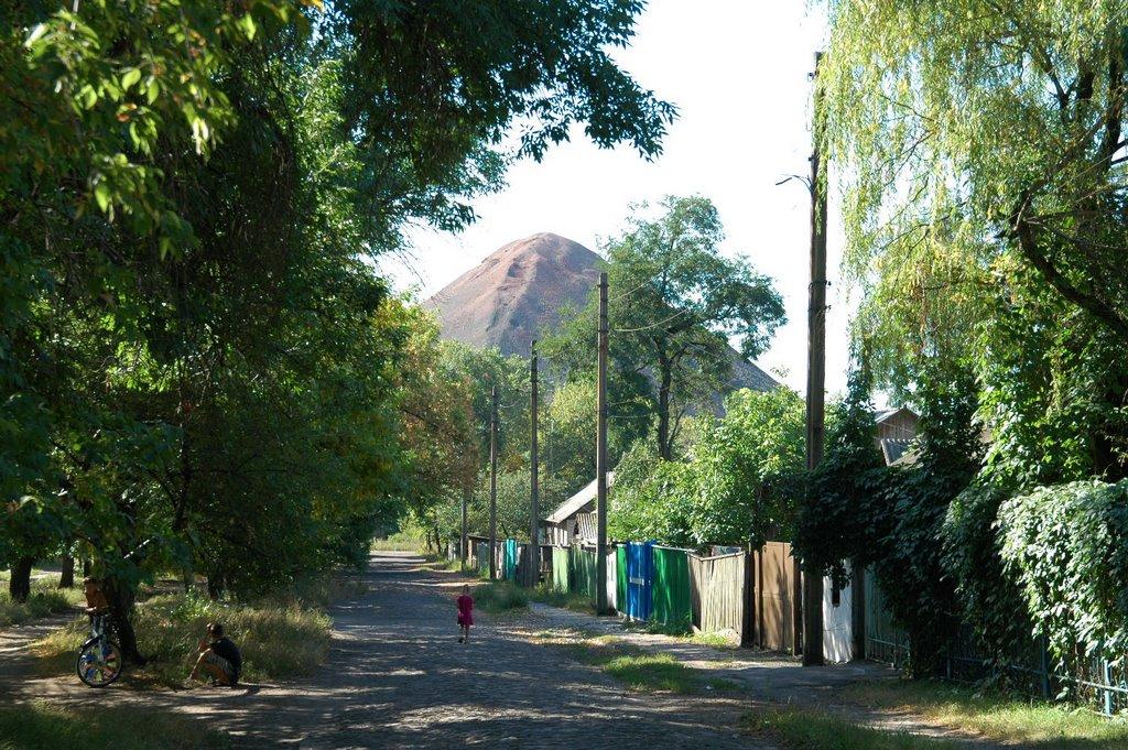 Софіївський з panoramio.com - Софіївський