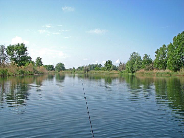 Нехвороща з panoramio.com - Нехвороща