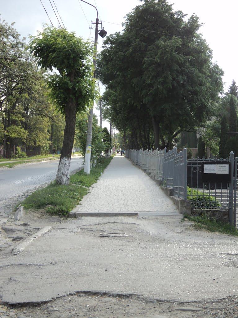 Чортків з panoramio.com - Chortkiv