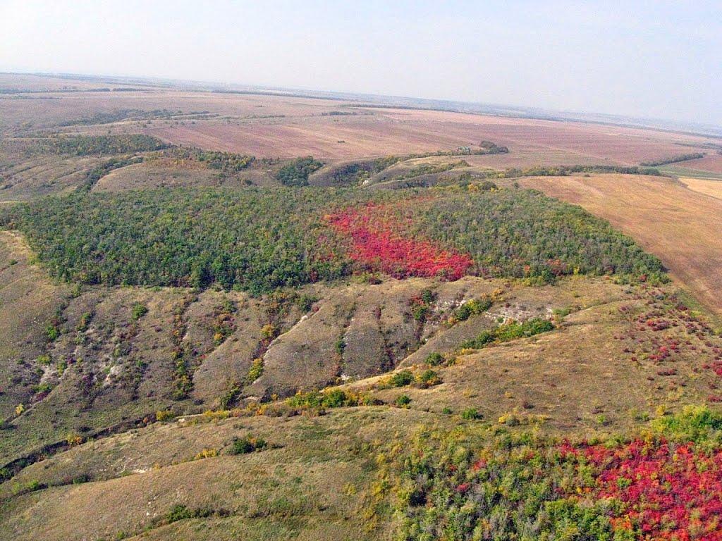 Красне з panoramio.com - Красное