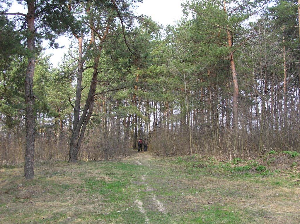 Горщик з panoramio.com - Горщик