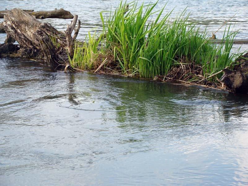 Біляївка з panoramio.com - Біляївка