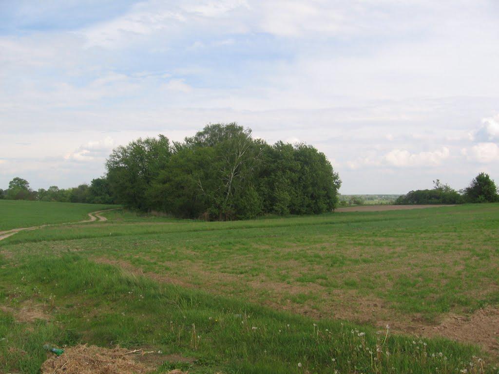 Новоселівка з panoramio.com - Новоселовка