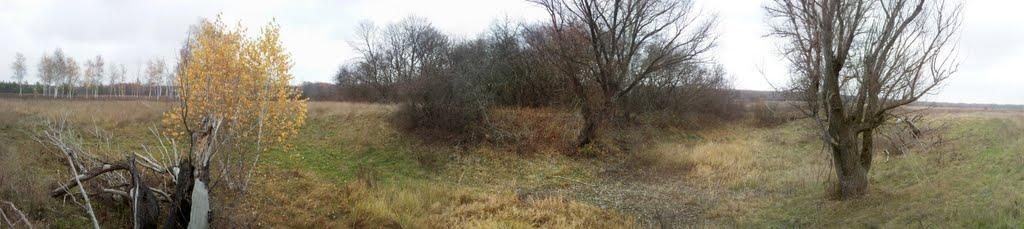 Дронівка з panoramio.com - Дроновка