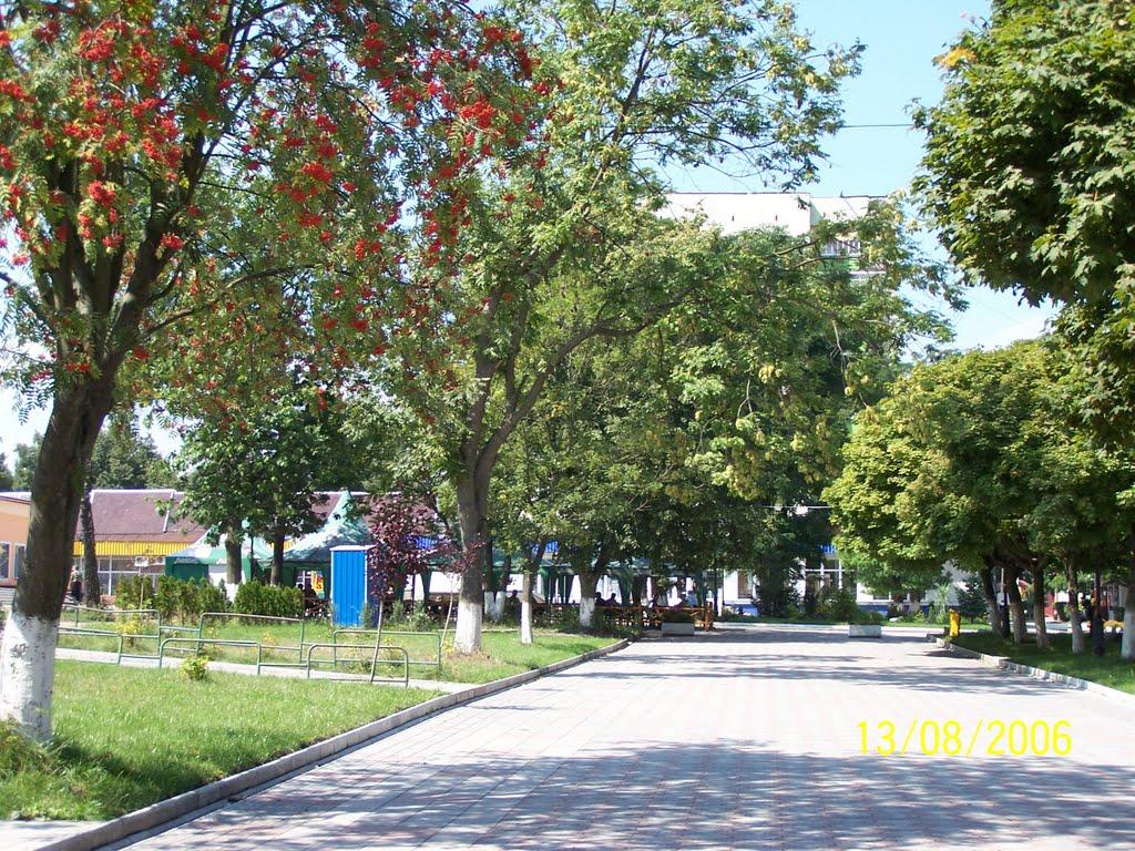 Бурштин з panoramio.com - Burshtyn
