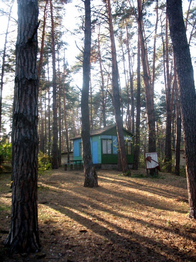Новосілки з panoramio.com - Новоселки