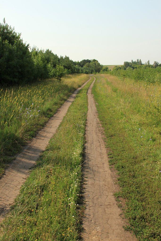 Холодне з panoramio.com - Холодне