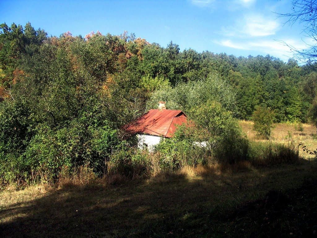 Храпачів Яр з panoramio.com - Храпачев Яр