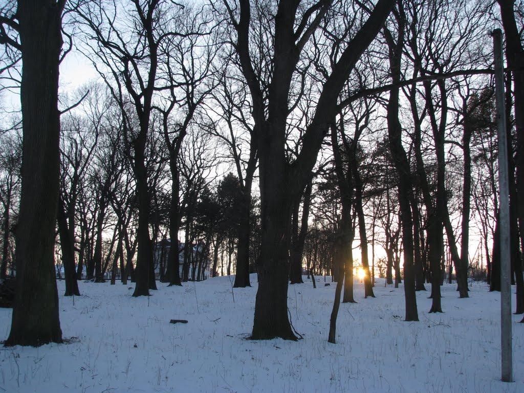 Мокра Калигірка з panoramio.com - Мокра Калигірка