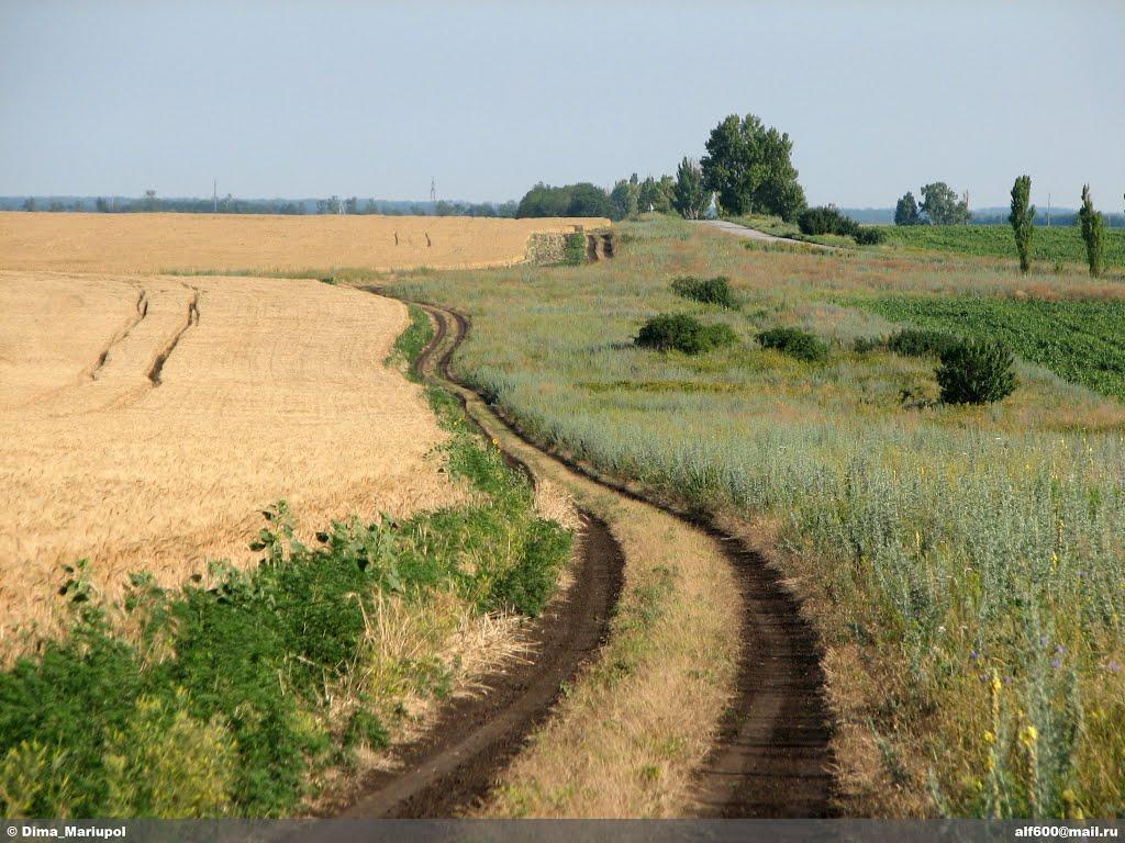 Куликівське з panoramio.com - Куликовское
