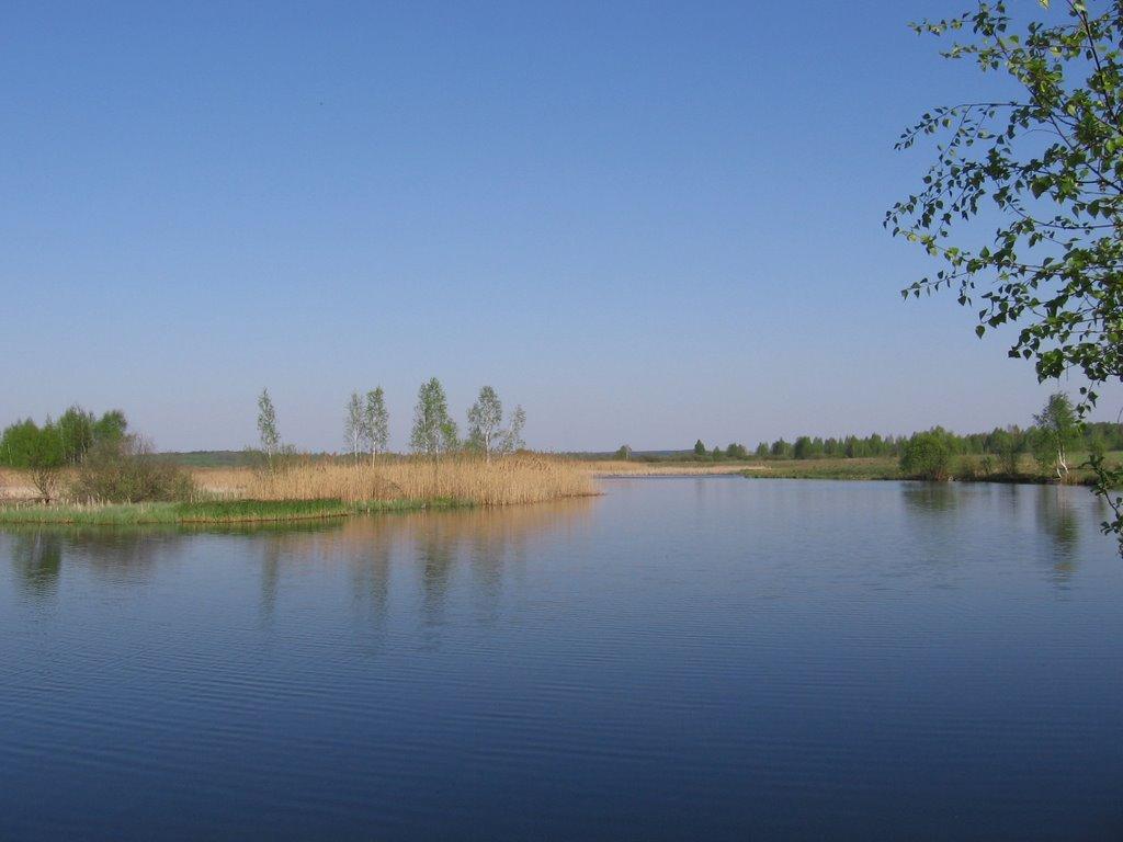 Ракужа з panoramio.com - Ракужа