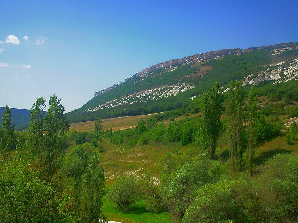 Велике Садове з panoramio.com - Velyke Sadove
