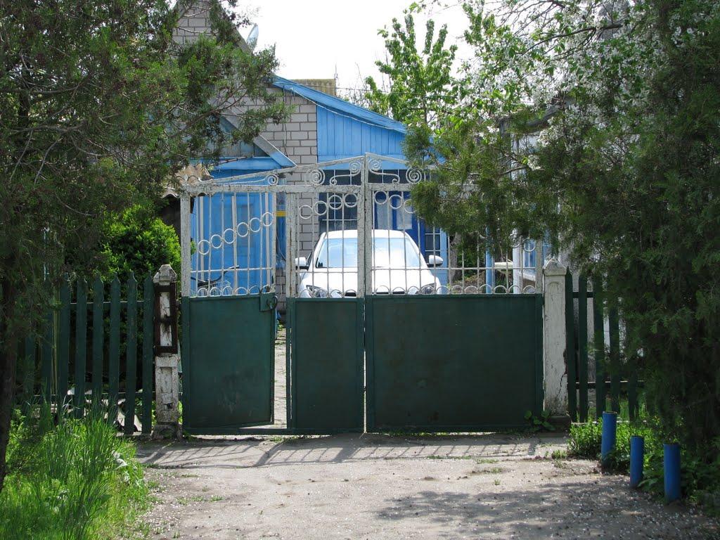 Скадовськ з panoramio.com - Скадовськ