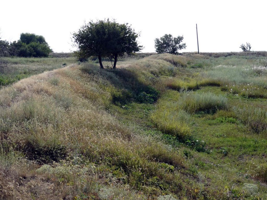 Велика Знам'янка з panoramio.com - Велика Знам'янка