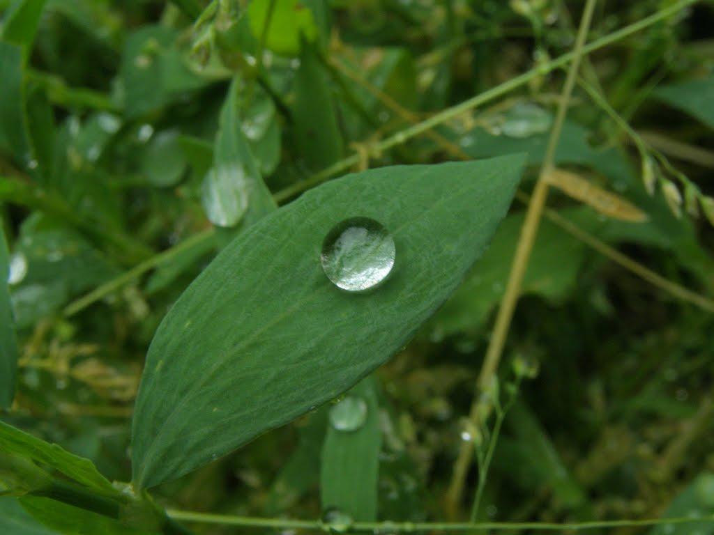 Кринички з panoramio.com - Кринички