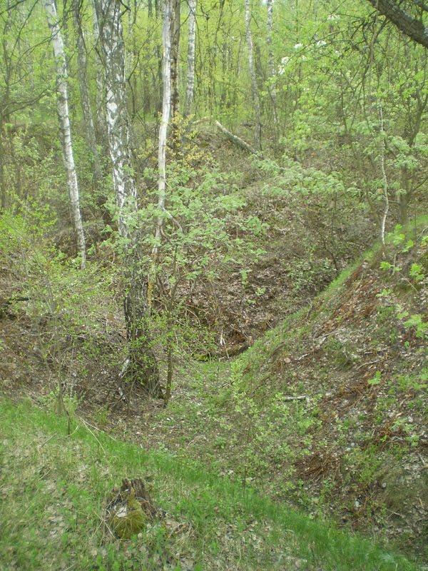 Старий Білоус з panoramio.com - Старий Білоус