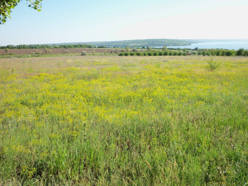 Верхня Криниця з panoramio.com - Верхняя Криница