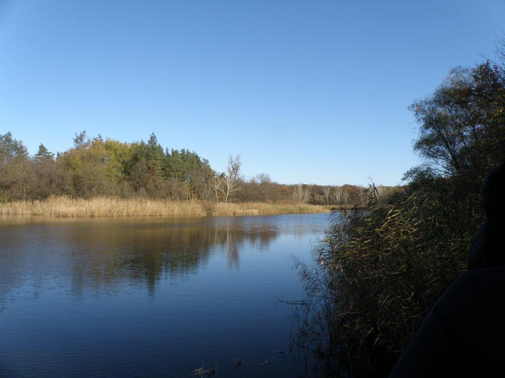 Орлівщина з panoramio.com - Орловщина