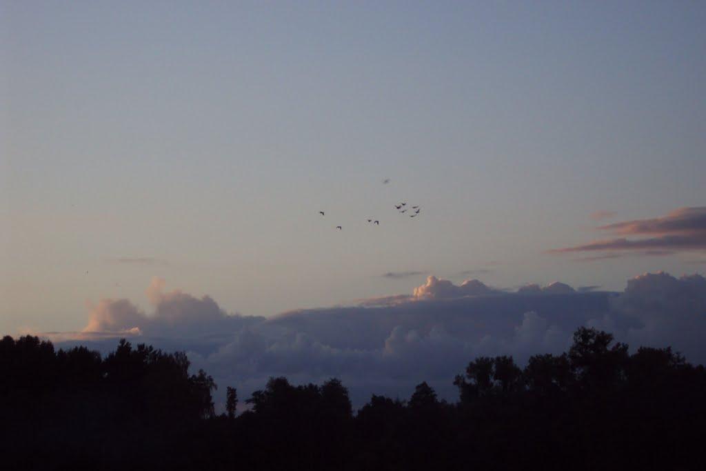 Озеряни з panoramio.com - Озеряни