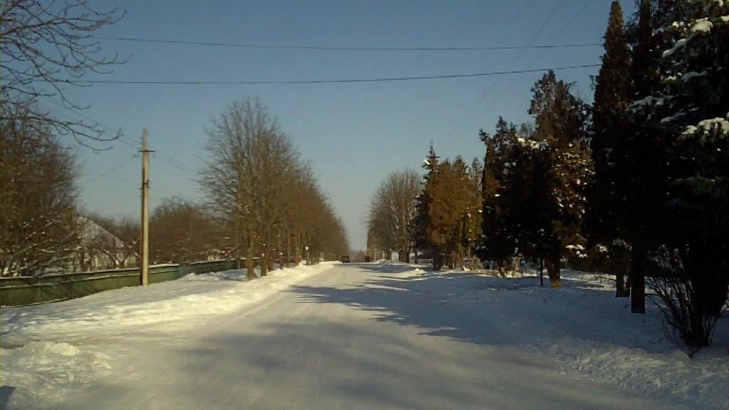 Вишневе з panoramio.com - Вишневе