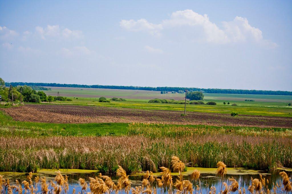 Браїлки з panoramio.com - Браилки