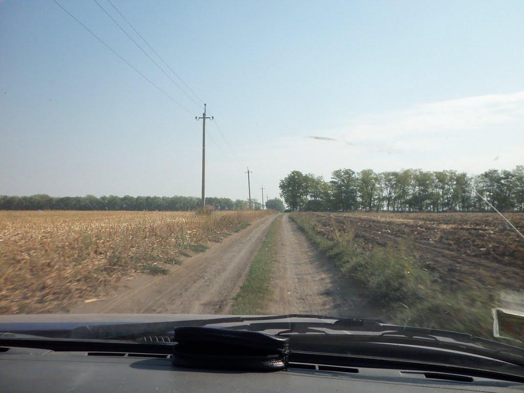 Дерезівка з panoramio.com - Дерезівка