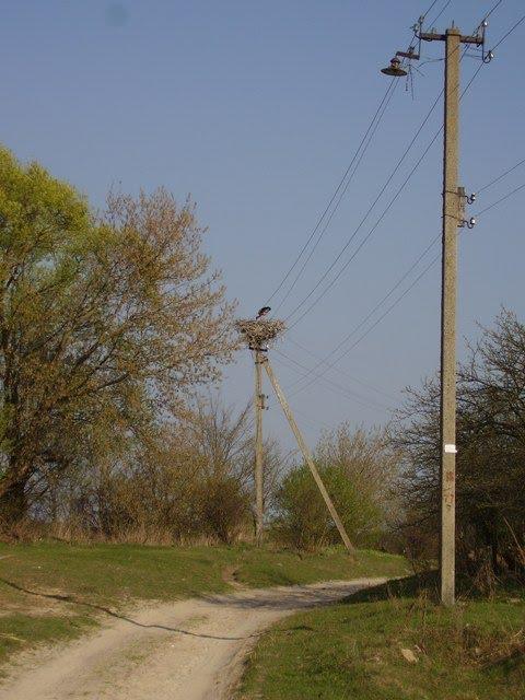 Зноб-Трубчевська з panoramio.com - Зноб-Трубчевська