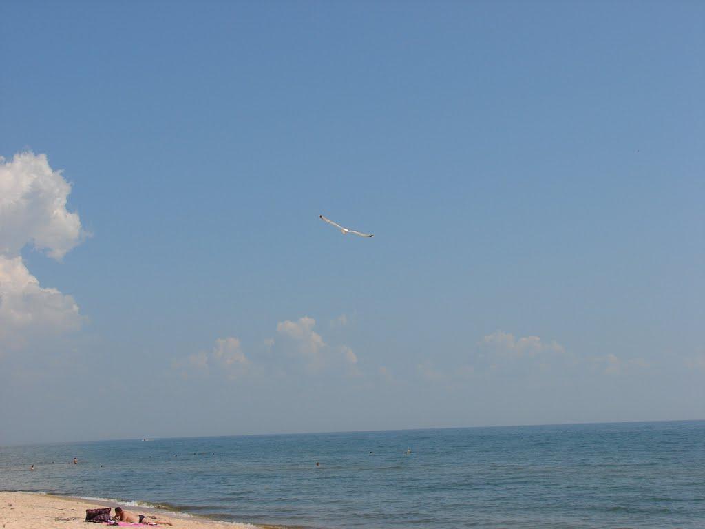 Стрілкове з panoramio.com (ч.2) - Strilkove