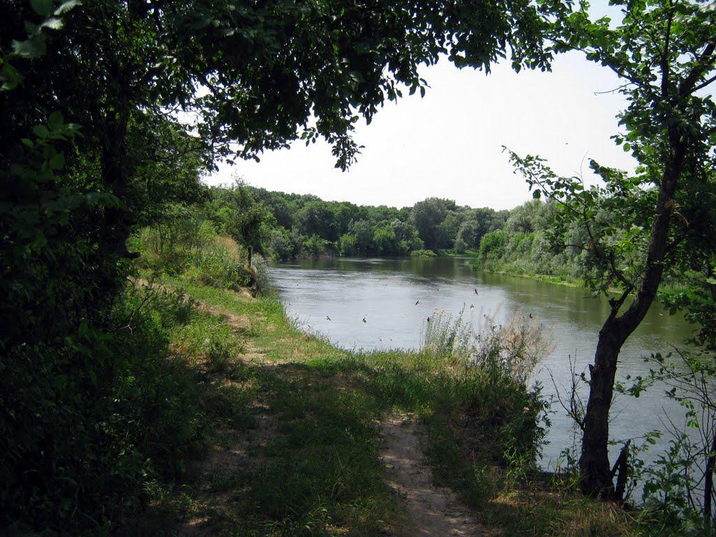 Дронівка з panoramio.com - Дроновка