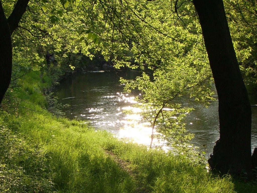 Зугрес з panoramio.com (ч.2) - Зугрэс