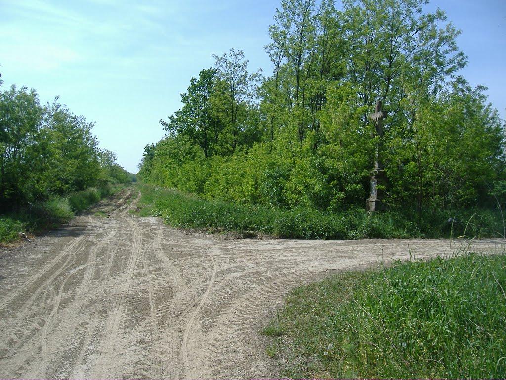 Велика Паладь з panoramio.com - Великая Паладь