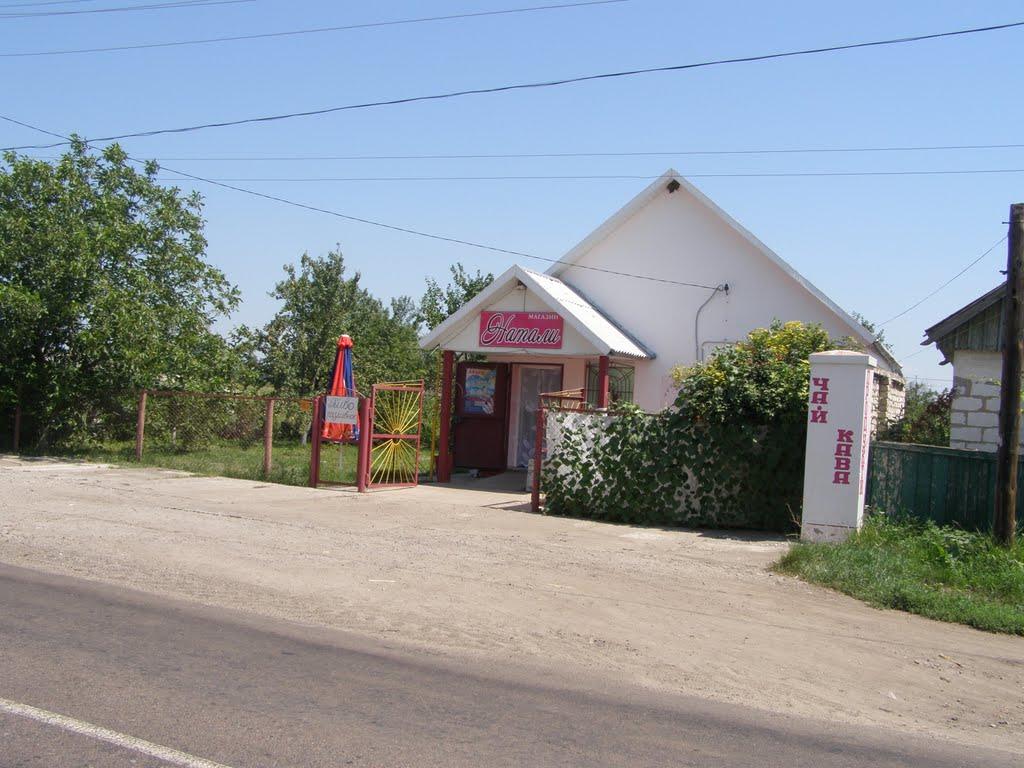 Васильківка з panoramio.com - Васильківка