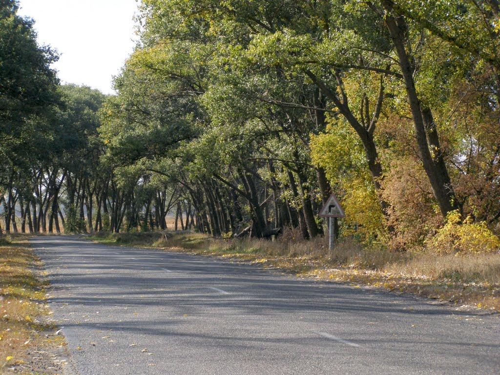 Калитянське з panoramio.com - Калитянське