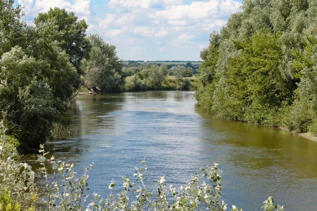 Сухорабівка з panoramio.com - Сухорабовка