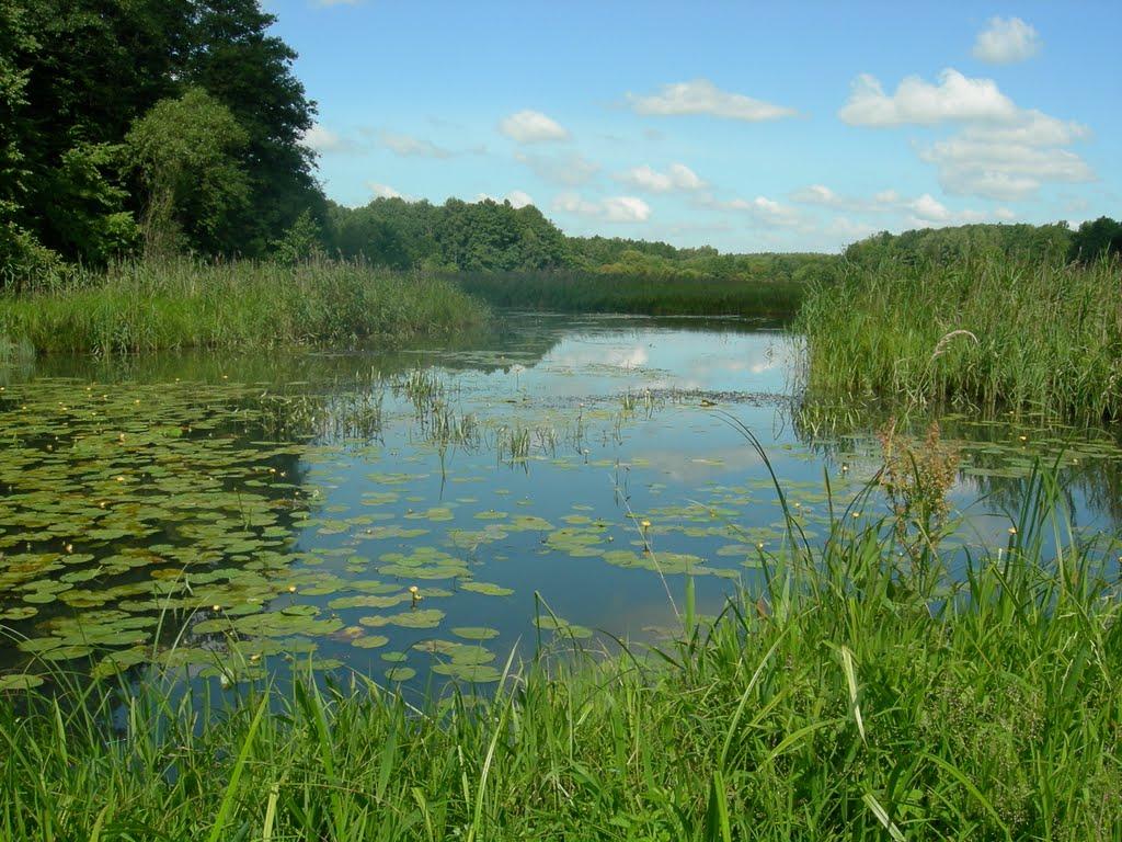 Березівка з panoramio.com - Березівка