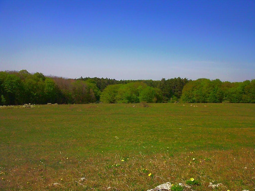 Чайковське з panoramio.com (ч.2) - Чайковське