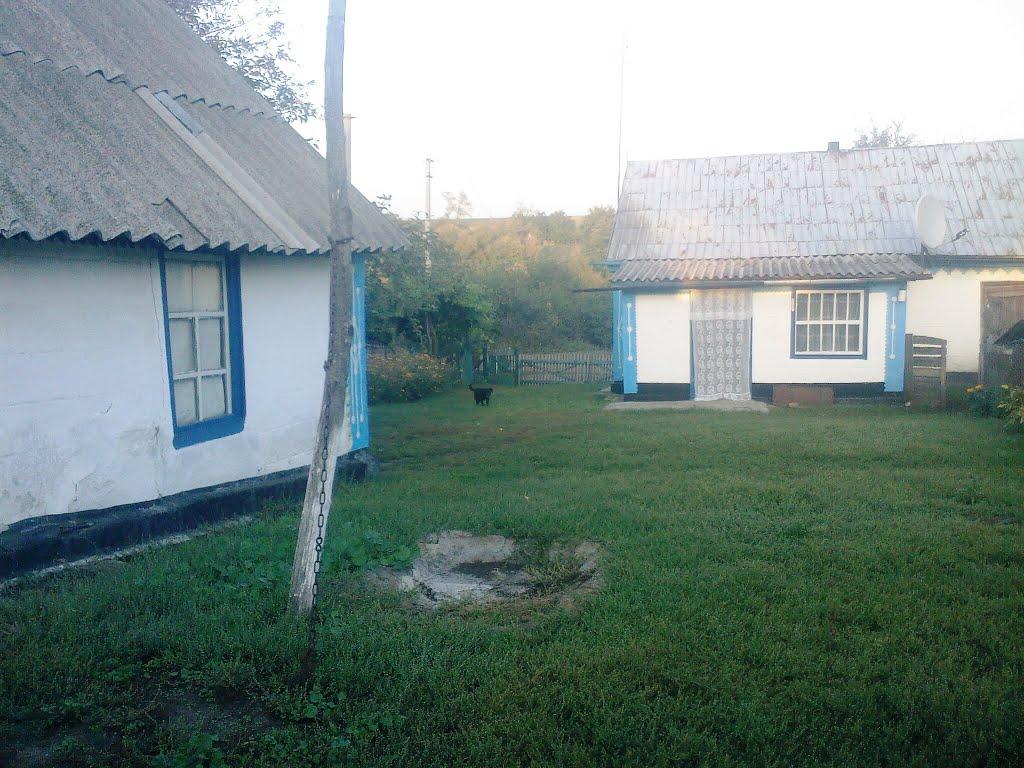 Дружелюбівка з panoramio.com - Дружелюбівка