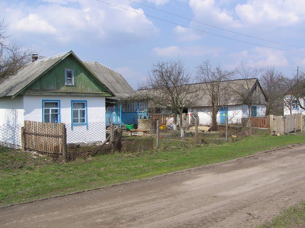 Горщик з panoramio.com - Горщик