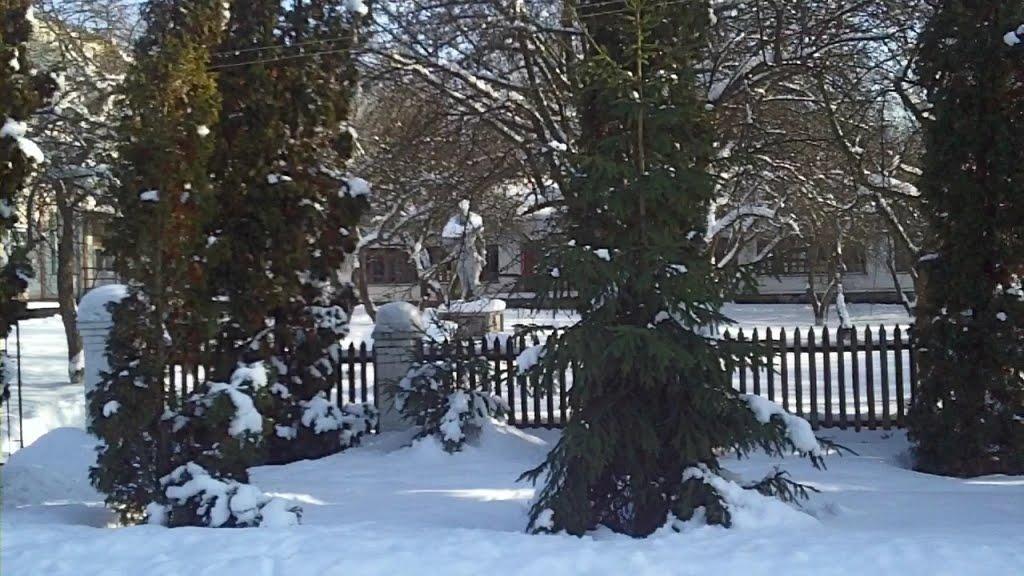 Вишневе з panoramio.com - Вишневе