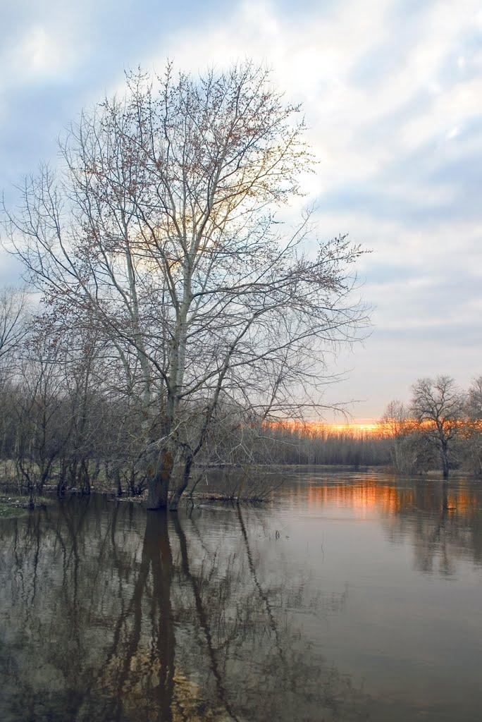 Сухорабівка з panoramio.com - Сухорабовка