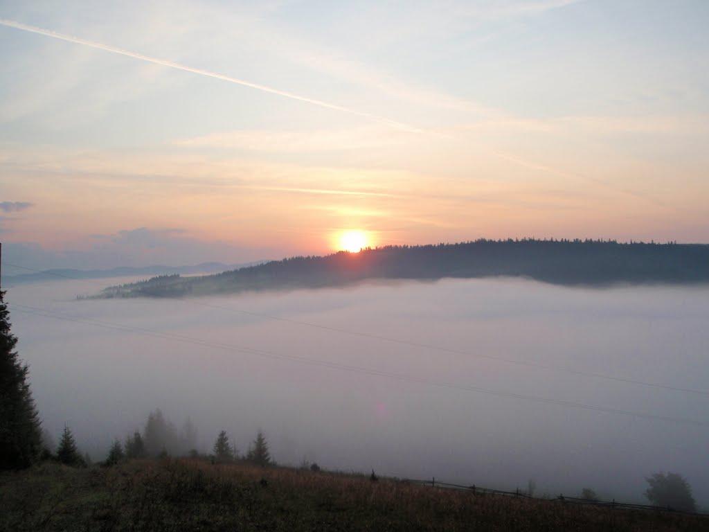 Комарники з panoramio.com - Комарники