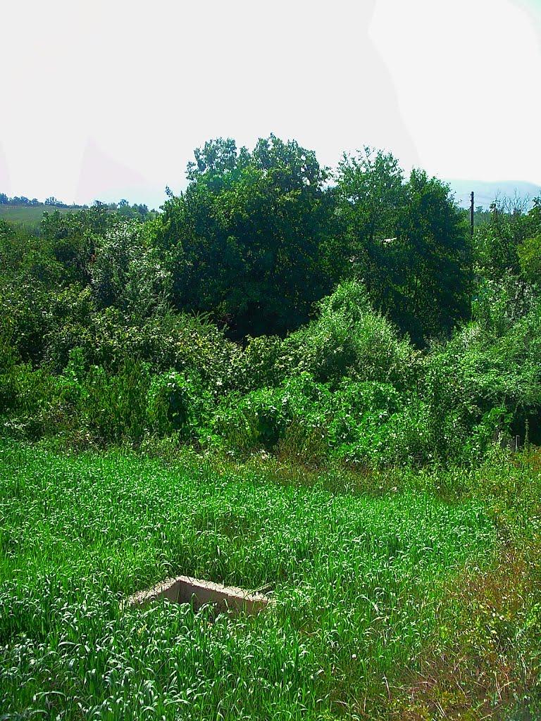 Плотинне з panoramio.com - Плотинное