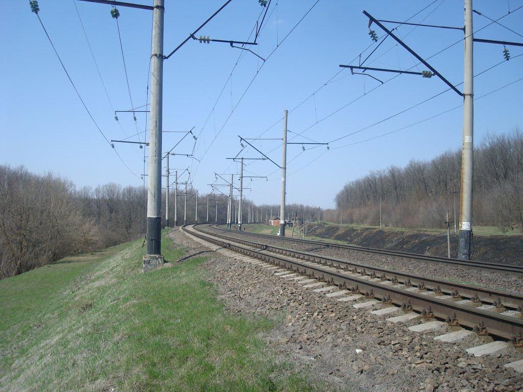 Чапаєвка з panoramio.com - Малые Коростовцы