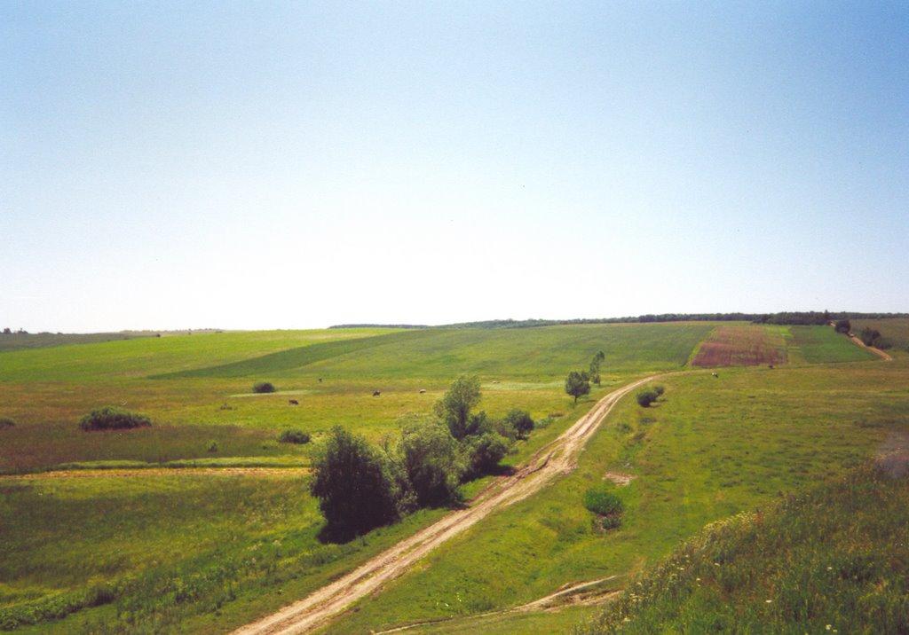 Новосілки з panoramio.com - Новосілки