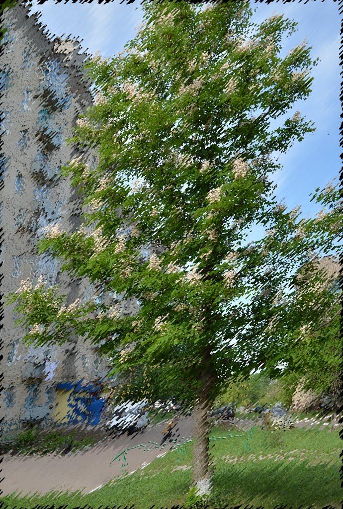 Смоліне з panoramio.com - Смоліне