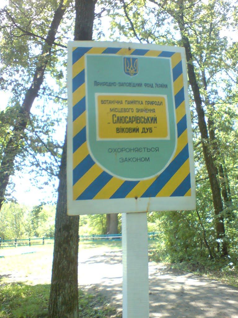 Слюсареве з panoramio.com - Слюсареве